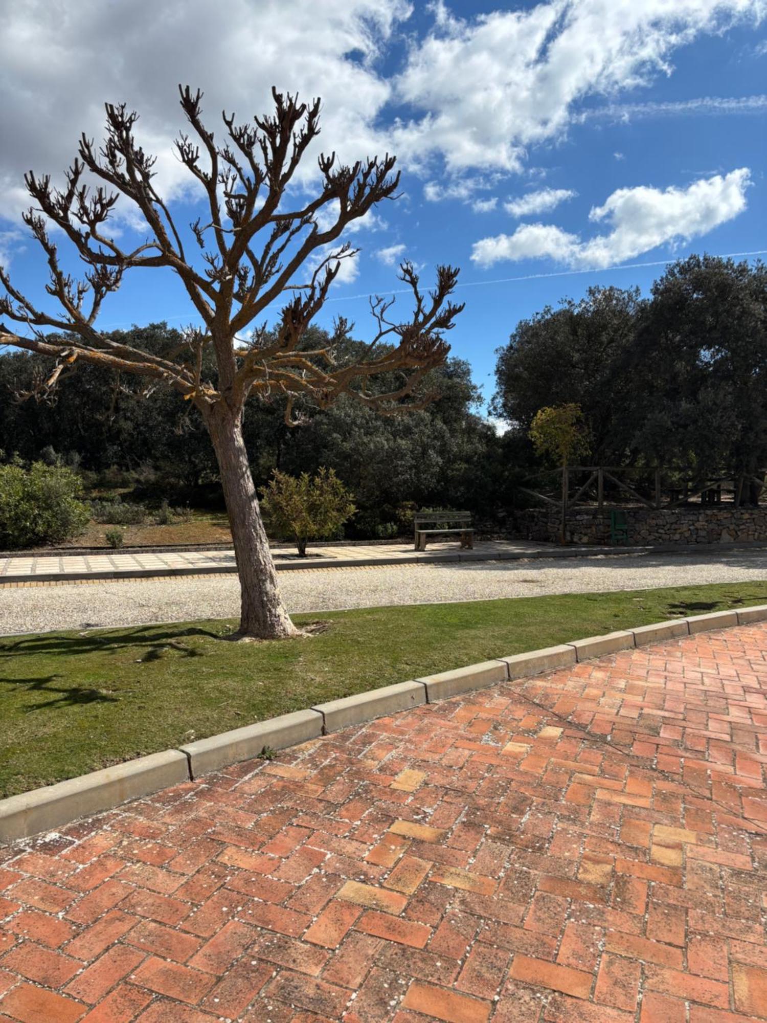 Hotel Rural Carlos Astorga Archidona Εξωτερικό φωτογραφία
